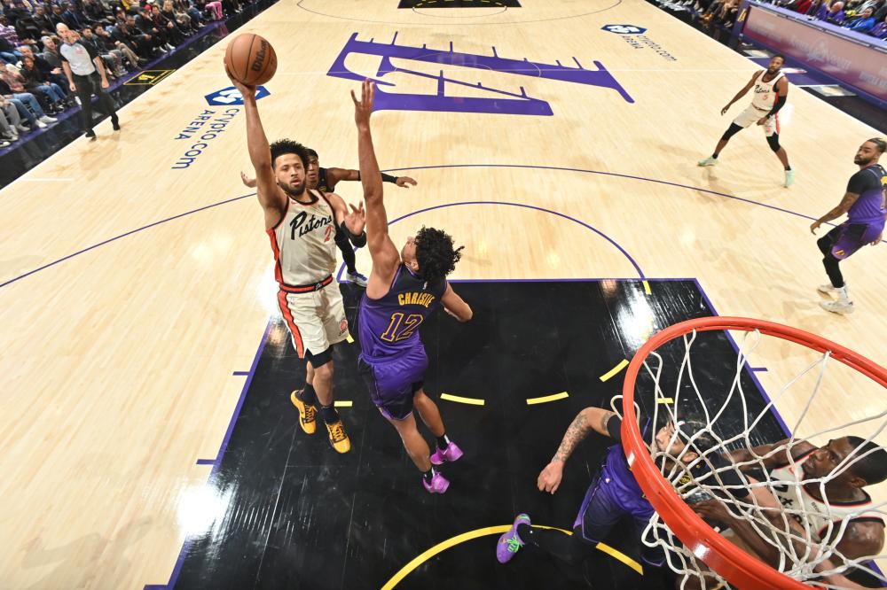 栋难以招架 栋难以招架